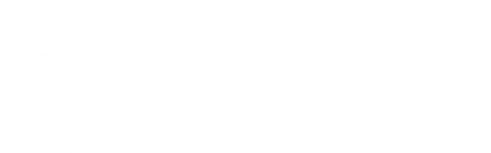 OM Shree Hanumate Namah Sports Academy Logo
